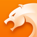 猎豹安全浏览器5.2.90官方下载 v5.28.1
